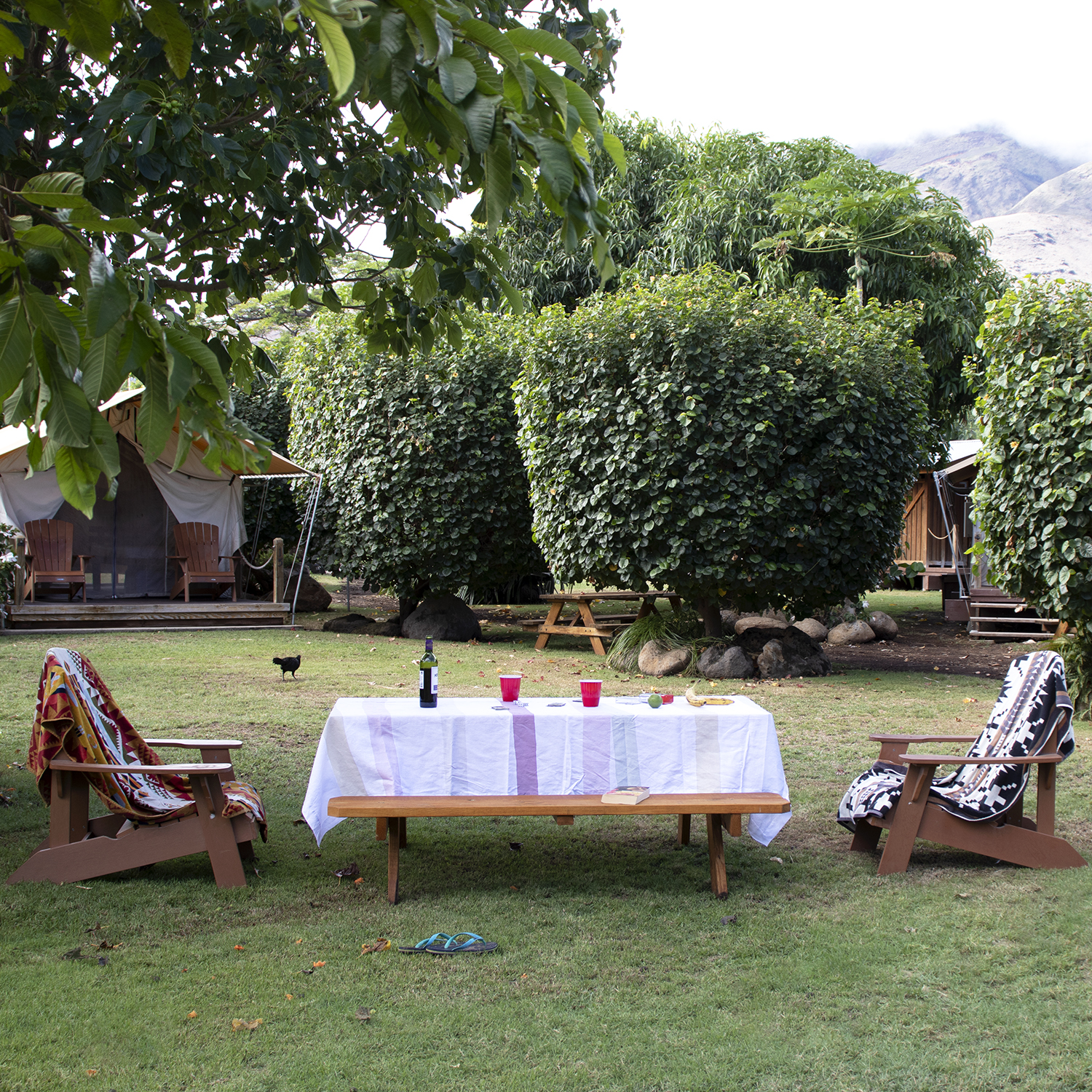 Outdoor dining alfresco hawaii Pastel rainbow stripe pendleton picnic linens tablecloth napkins patio decor